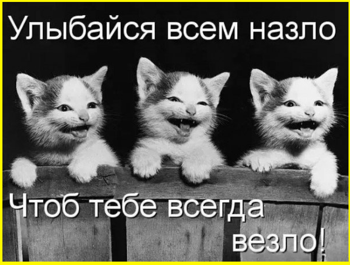 Утренний субботний юморок 