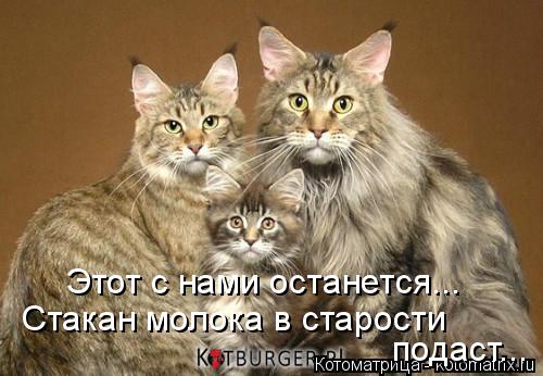 Котоматрица: Этот с нами останется... подаст... Стакан молока в старости