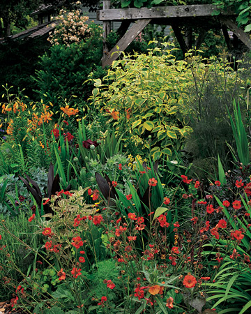 wild-garden-inspiration-flowers12.jpg wild-garden-inspiration-flowers12.jpg