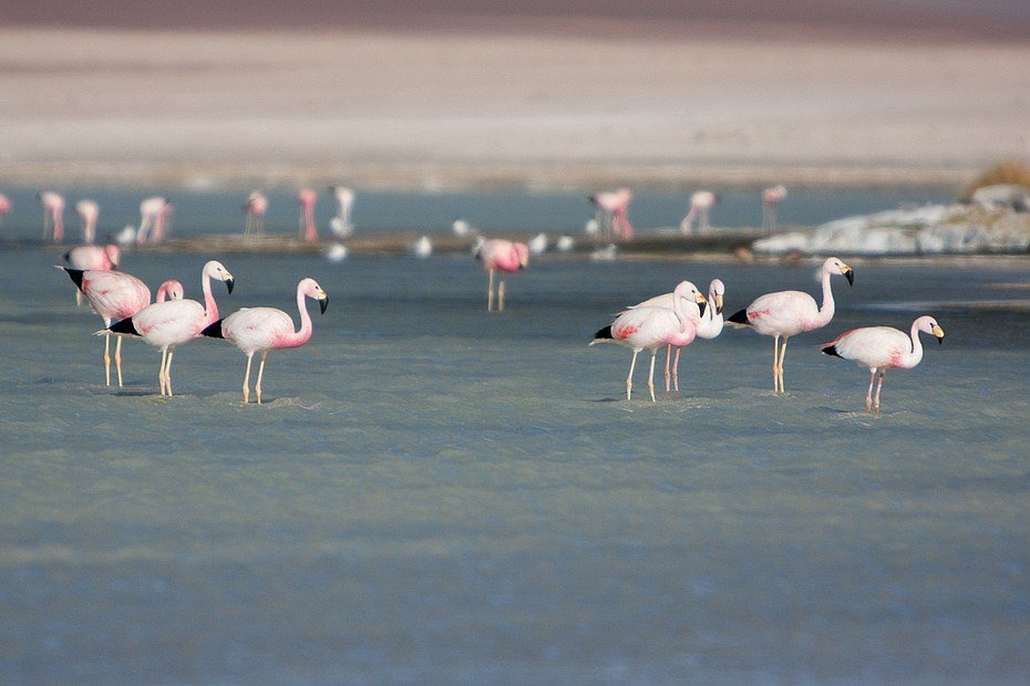 11. ���������, ��� �� ��������-��-���� �����, �������� �� ������� ��� �������� ����, ����    � ���� ���� ��������� �����, ����� � �������, �� ��������� � ������ ������.-15