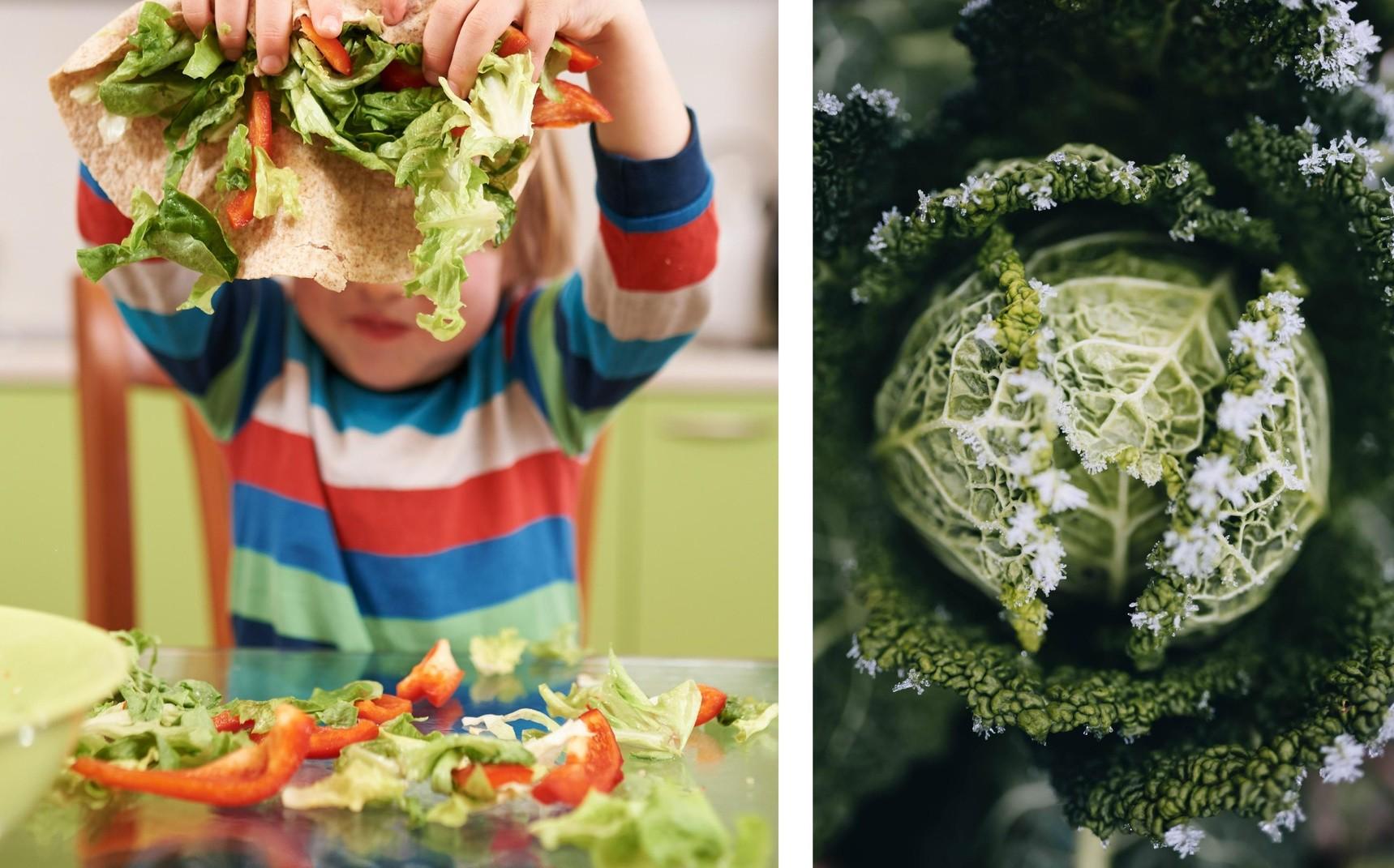 Можно ли детям соблюдать пост, и с какого возраста разрешено вводить ограничения ребенка, может, особенно, продуктов, поста, происхождения, детям, духовной, должно, детей, животного, обеспечить, ограничивать, питания, чтобы, витаминов, учетом, следует, белка, полноценным