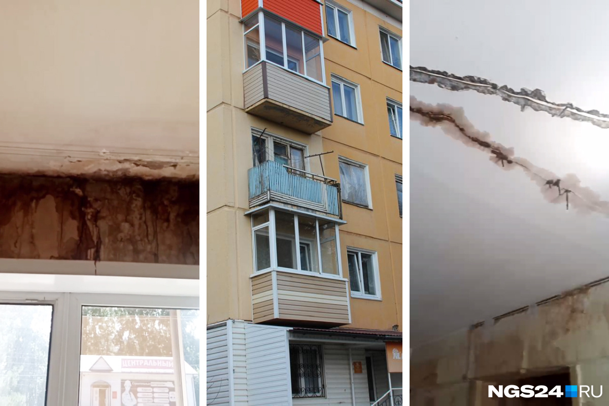 В Красноярском крае выселяют женщину, державшую в квартире стаю собак