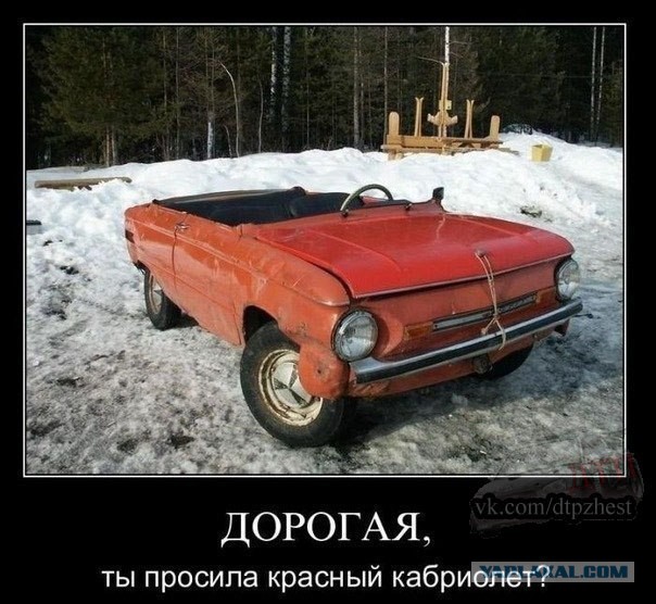 Автокартинки отдых