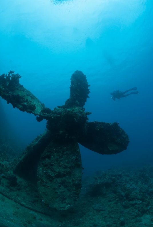 Пост из-под воды: затонувшие корабли и не только 