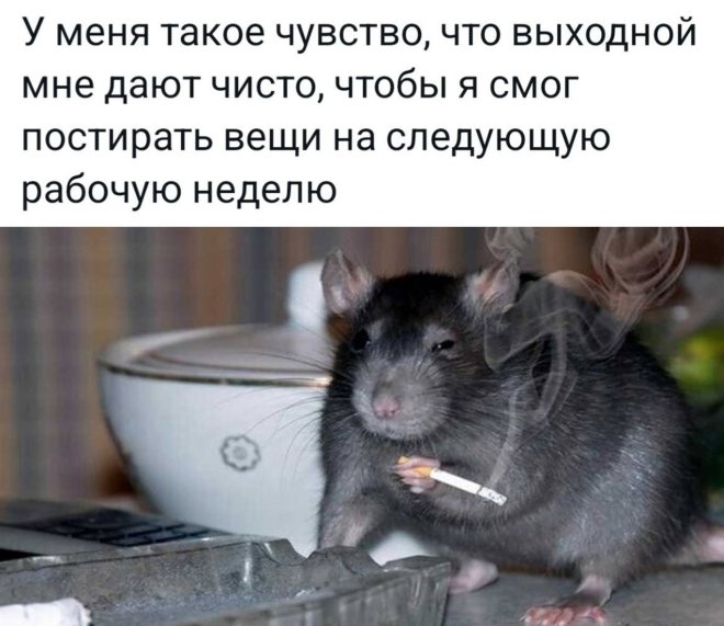 Прикольные картинки с подписями 