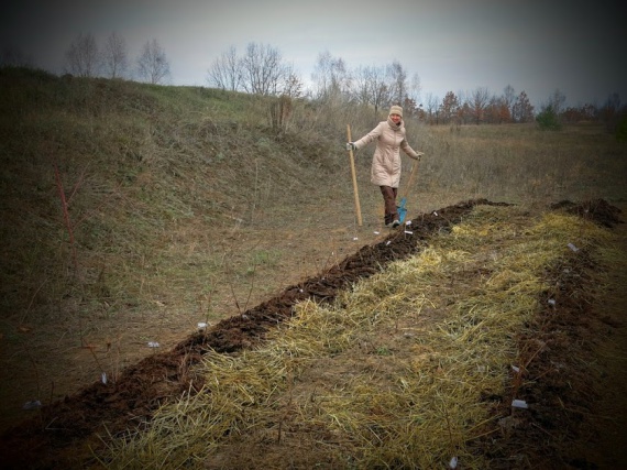 теплые грядки Розума 1: Органическое земледелие, пермакультура