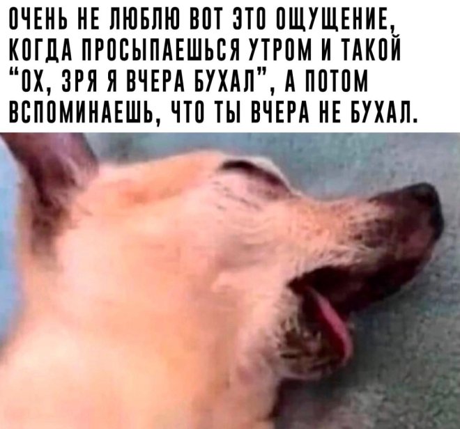 Утренний субботний юморок 