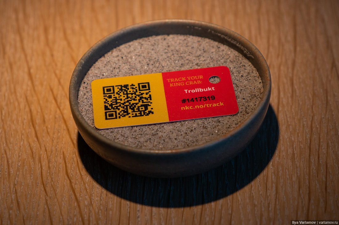 Лучший ресторан мира: рыбий пузырь, муравьи и кожа в шоколаде Лучший ресторан мира: рыбий пузырь, муравьи и кожа в шоколаде мир,страны,туризм