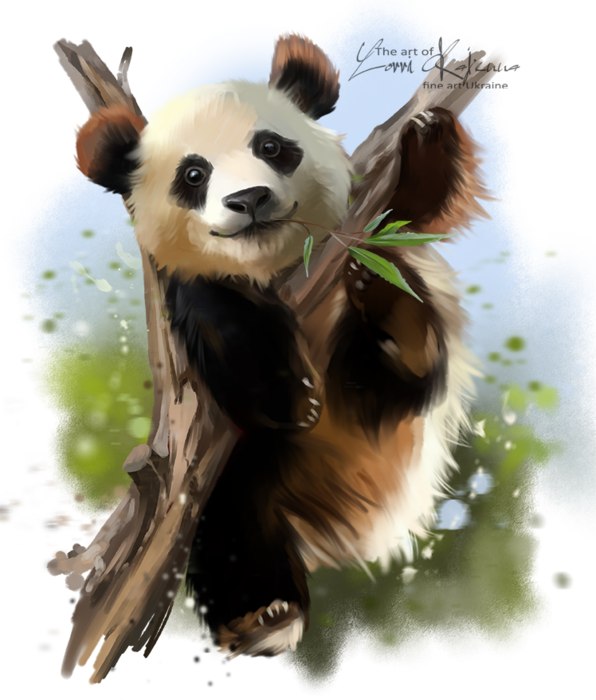 panda_by_kajenna-dbmrfcp (596x700, 580Kb)