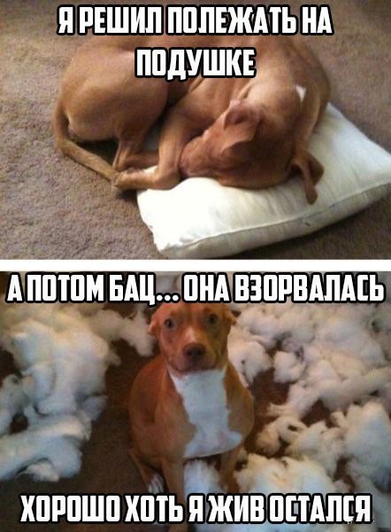 Подборка интересных и веселых картинок №29 обзоры