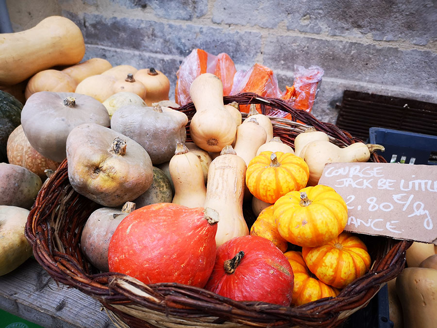 Блуа (Blois). Прогулки по старинному городу. Блуа (Blois). Прогулки по старинному городу. авиатур