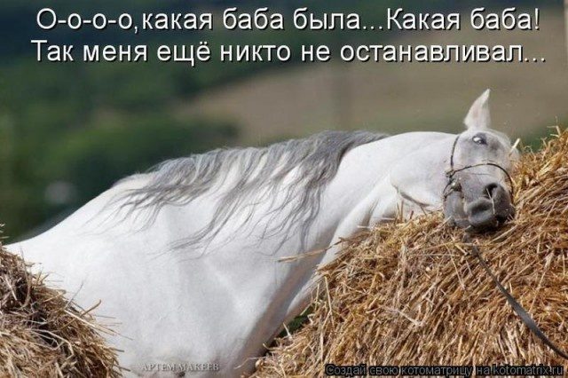 Нестандартный юмор из сетей 