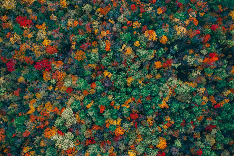 Победители конкурса фотографий, сделанных дронами