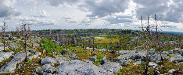 Карельский феномен 