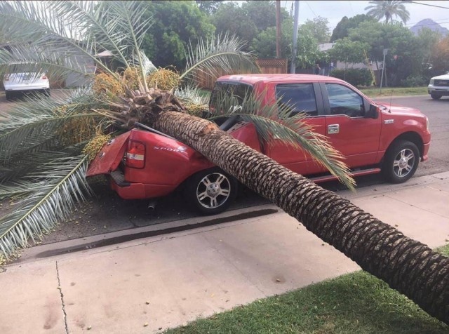 Молодой человек, вы что, меня клеите?
