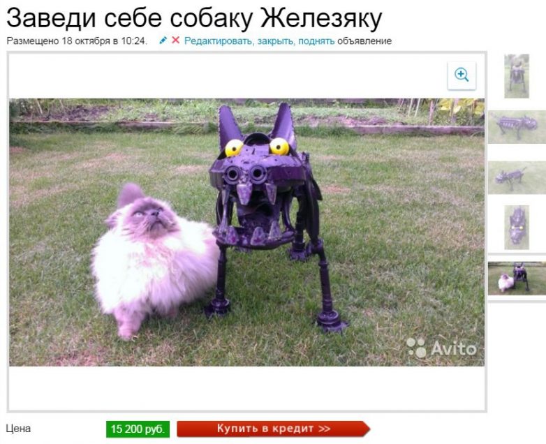 Классные приколы на Авито