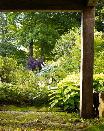 wild-garden-inspiration-flowers10.jpg wild-garden-inspiration-flowers10.jpg