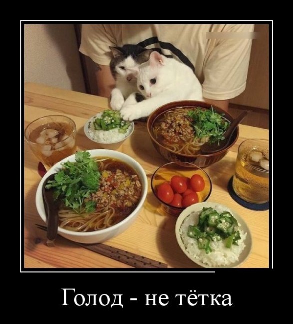 Свежие, прикольные и забавные демотиваторы для хорошего настроения Свежие, прикольные и забавные демотиваторы для хорошего настроения демотиваторы свежие,смешные демотиваторы,юмор