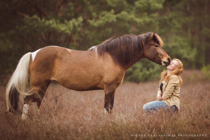 красивые фотографии лошадей
