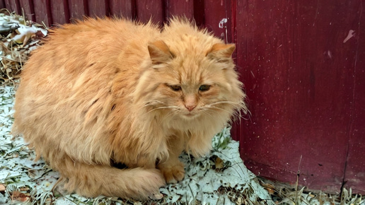 Подарок на 8 марта