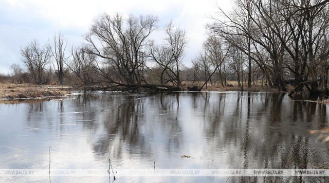 Белгидромет: на реках Беларуси будут отмечаться колебания уровней воды с тенденцией к повышению.