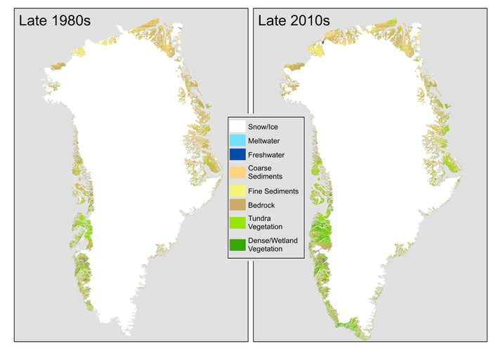 В Гренландии растаяли 3 000 000 гектаров ледников – теперь там растительность