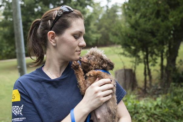 poodle-rescue-puppy-mill-basement-cage-8