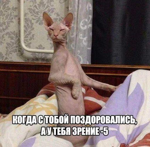 Озорной юмор 