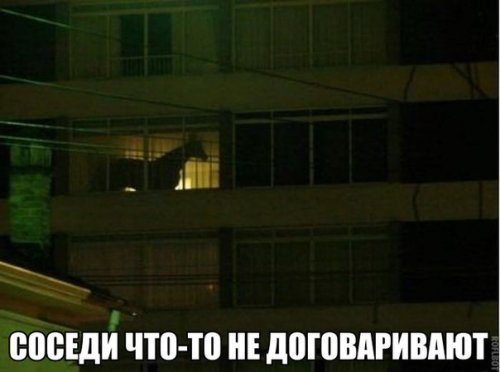 Смешные фотомемы Смешные фотомемы