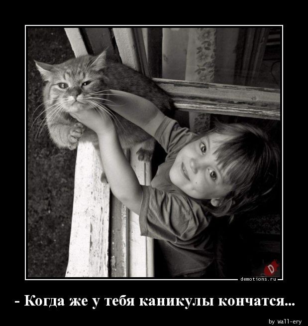 Демотиваторов свежая порция: «В этом доме…» 