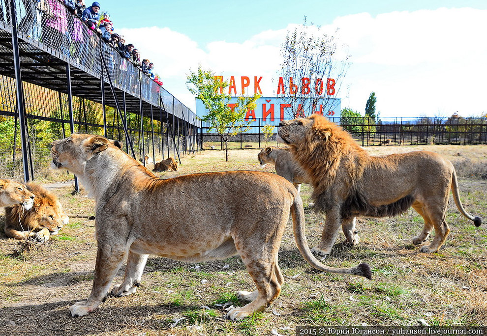 Сафари-парк Тайган в Крыму