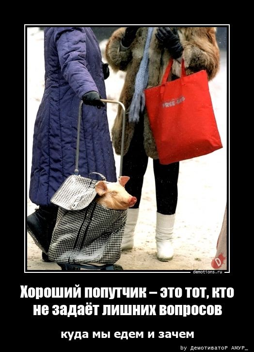 Демотиваторов свежая порция: «В этом доме…» 