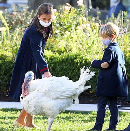 Дональд с Меланией Трамп и индейка Кукуруза приняли участие в традиционной церемонии в Белом доме Дональд с Меланией Трамп и индейка Кукуруза приняли участие в традиционной церемонии в Белом доме Звезды,Новости о звездах