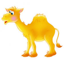 Image result for верблюжонок