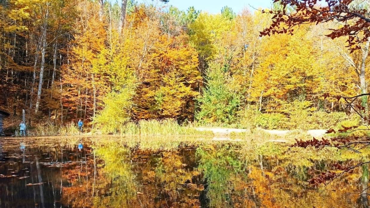 Гид Николай Пономаренко рассказал, какие места нужно посетить в Крыму осенью