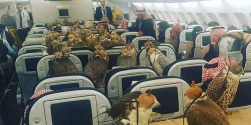 Юмор из самолёта сделает ваш день картинки