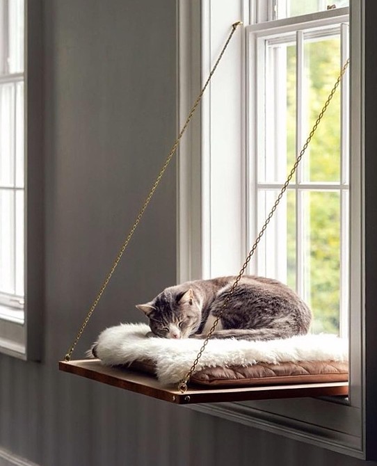 7 самодельных игрушек для кошки, которые подойдут современному интерьеру домашние животные