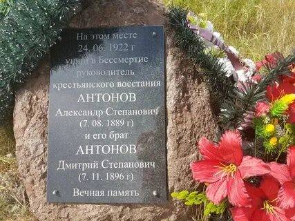 Подавление Тамбовского восстания Подавление Тамбовского восстания история