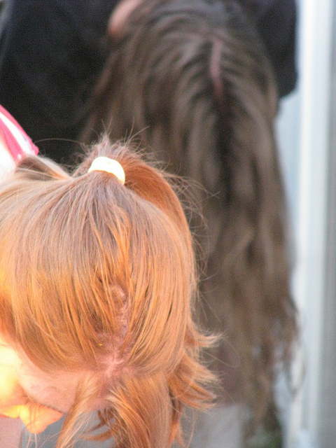 Сливаешь воду после макарон – очень зря. ВОТ, что ты мог бы с ней сделать