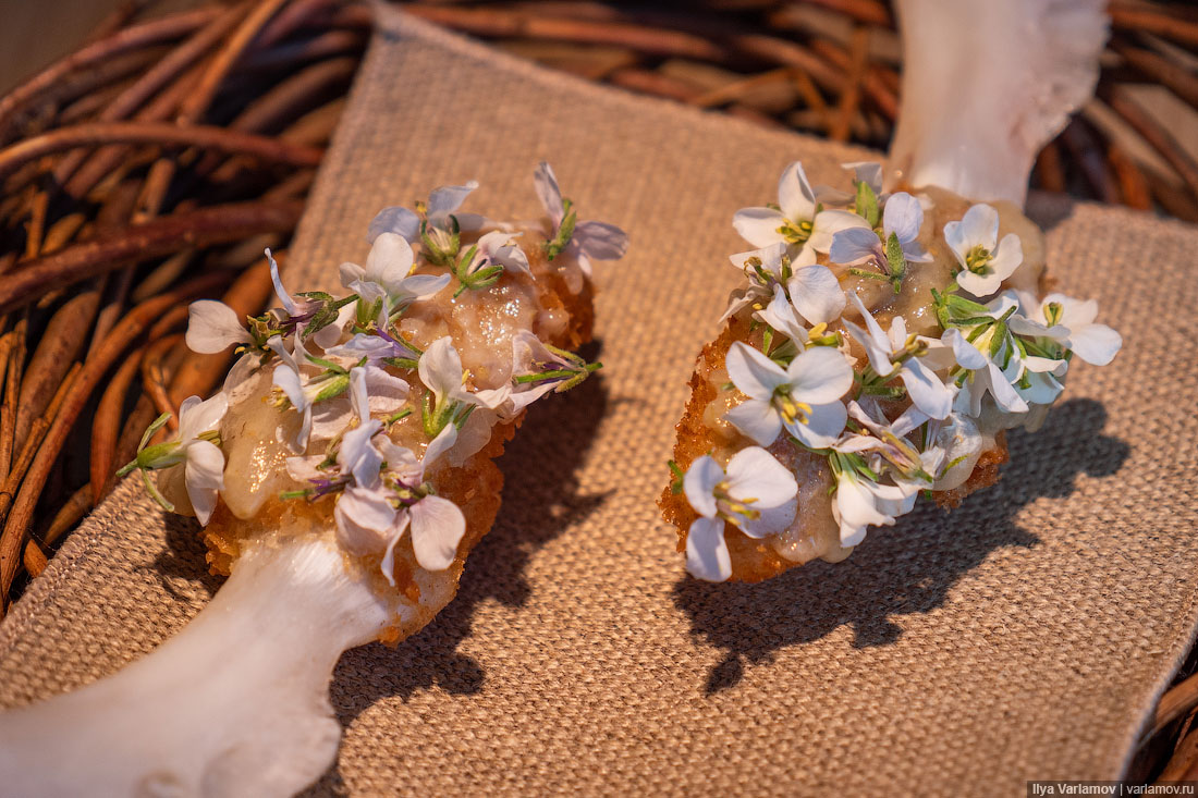 Лучший ресторан мира: рыбий пузырь, муравьи и кожа в шоколаде Лучший ресторан мира: рыбий пузырь, муравьи и кожа в шоколаде мир,страны,туризм