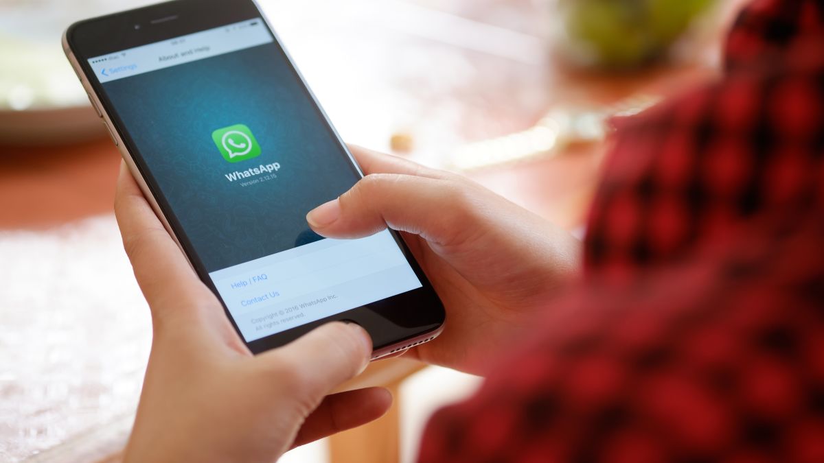 Чтение чужой переписки WhatsApp: хакер выложил новый способ Чтение чужой переписки WhatsApp: хакер выложил новый способ Культура