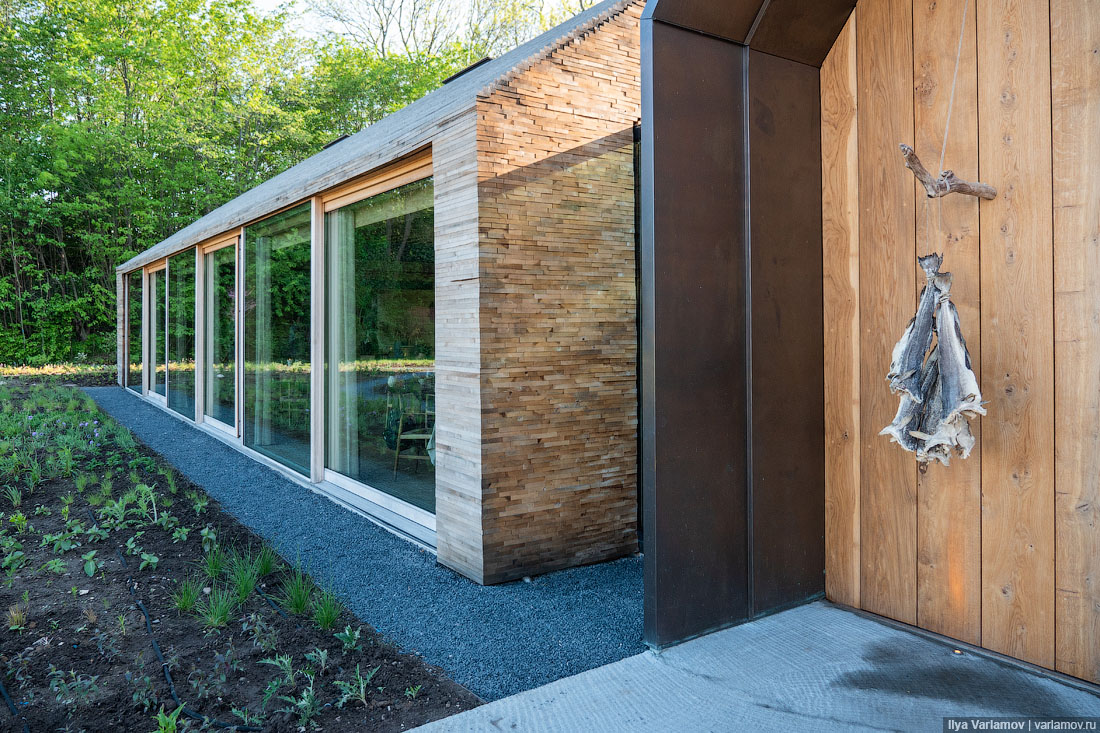 Лучший ресторан мира: рыбий пузырь, муравьи и кожа в шоколаде Лучший ресторан мира: рыбий пузырь, муравьи и кожа в шоколаде мир,страны,туризм