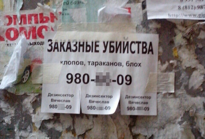 Добро пожаловать: 18 потешных снимков о буднях жителей культурной столицы Добро пожаловать: 18 потешных снимков о буднях жителей культурной столицы