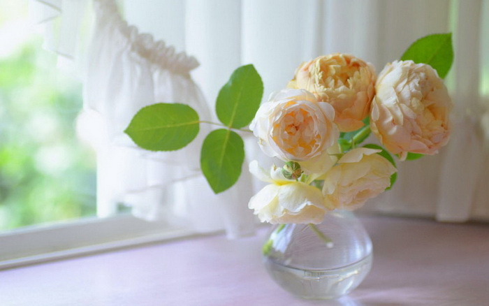 Цветы в прозрачной вазе тоже могут испортить подоконник.