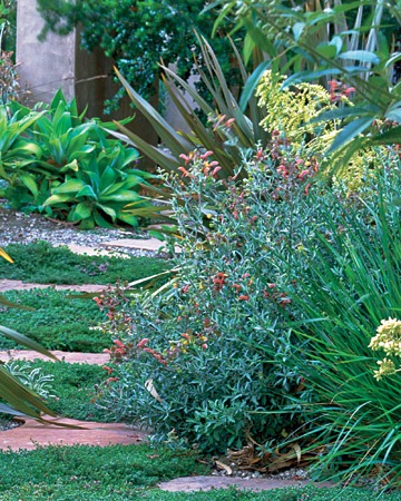 wild-garden-inspiration-flowers15.jpg wild-garden-inspiration-flowers15.jpg