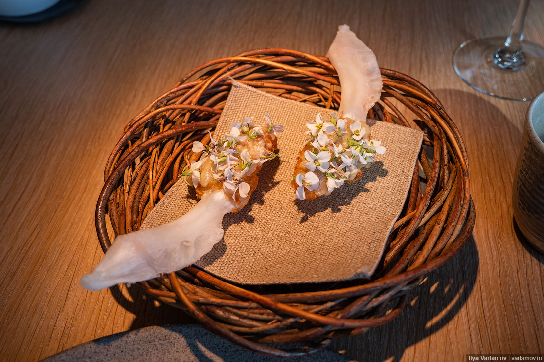 Лучший ресторан мира: рыбий пузырь, муравьи и кожа в шоколаде Лучший ресторан мира: рыбий пузырь, муравьи и кожа в шоколаде мир,страны,туризм