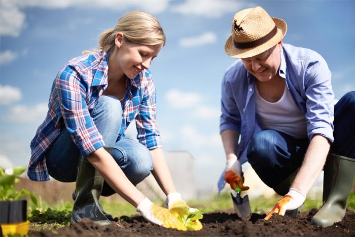 Скоро дачников станет больше. /Фото: elamed.com Скоро дачников станет больше. /Фото: elamed.com