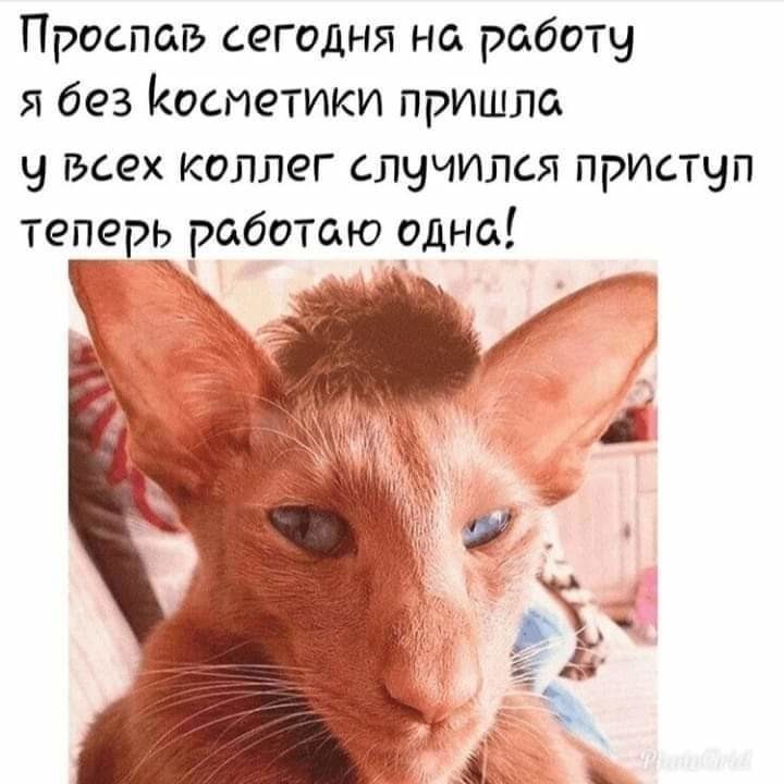 не проспи на работу картинки самые