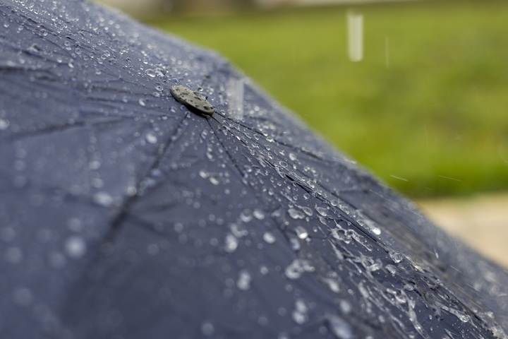Дождь и гроза ожидаются завтра в Рязанской области