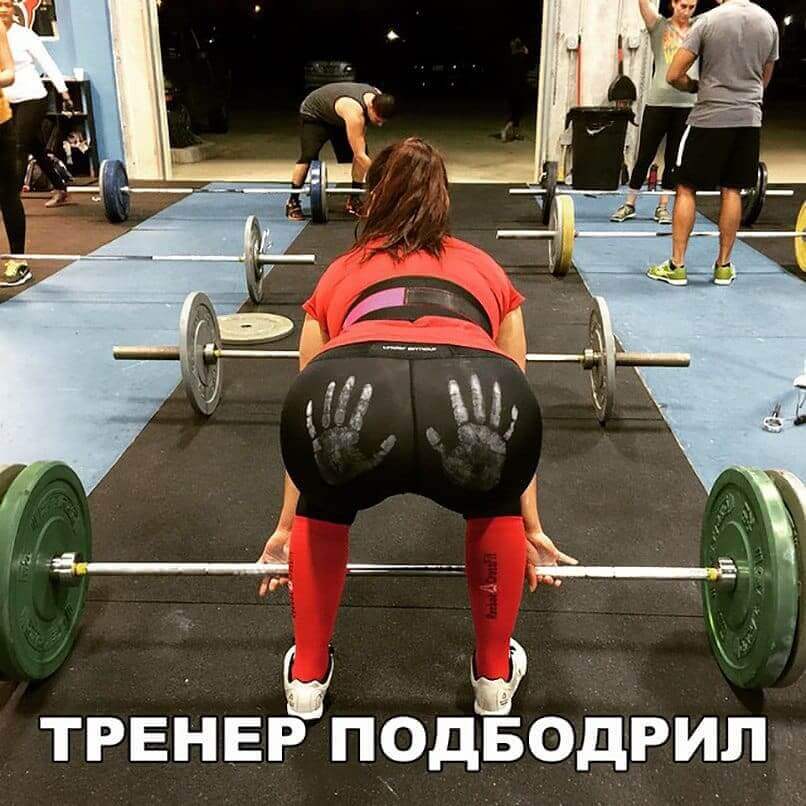 Белки, картинки с надписями про спортзал